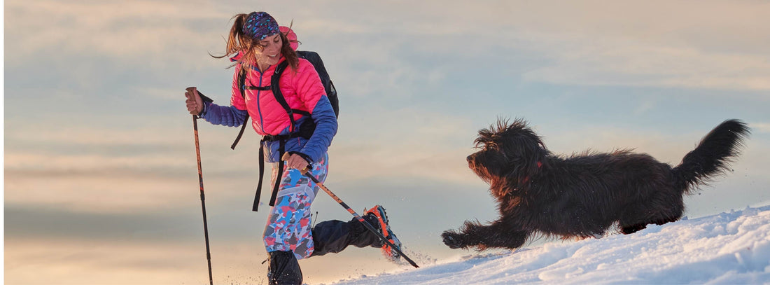 Wandern mit Hund im Winter