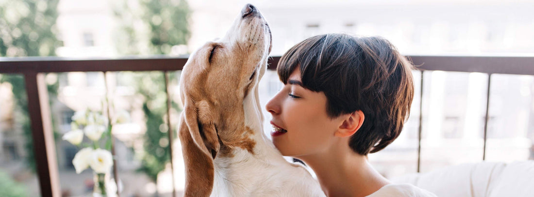 Liebt Ihr Hund Sie? 7 Zeichen für echte Zuneigung