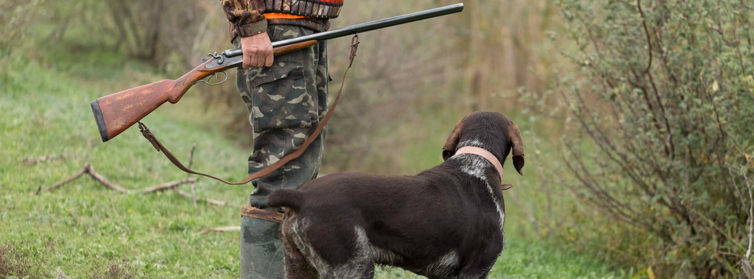 Jagdverhalten eines Hundes - Instinktive Reaktionen