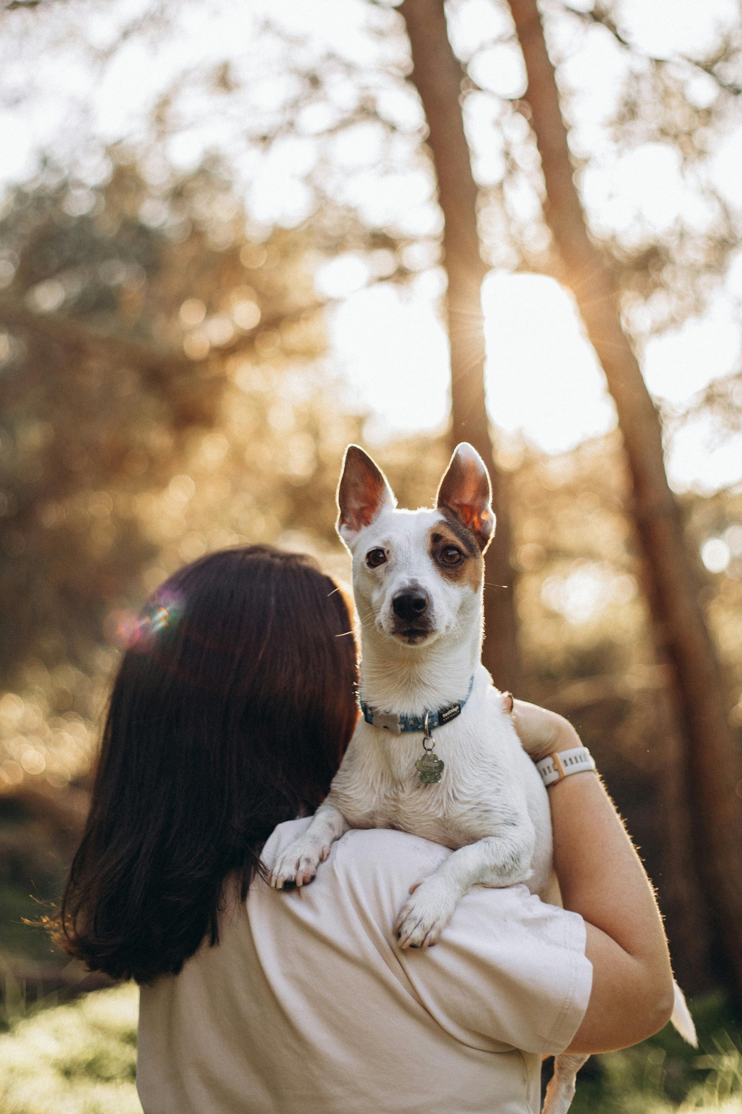 Hundemarke Namensschild