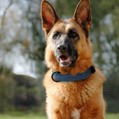 HUNDEHALSBAND FÜR GROSSE HUNDE WEICHES SANFTES LEDER SCHMEICHELT DEM FELL IHRES HUNDES