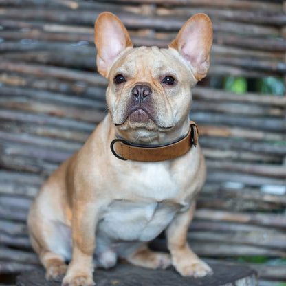 HUNDEHALSBAND FÜR GROSSE HUNDE WEICHES SANFTES LEDER SCHMEICHELT DEM FELL IHRES HUNDES