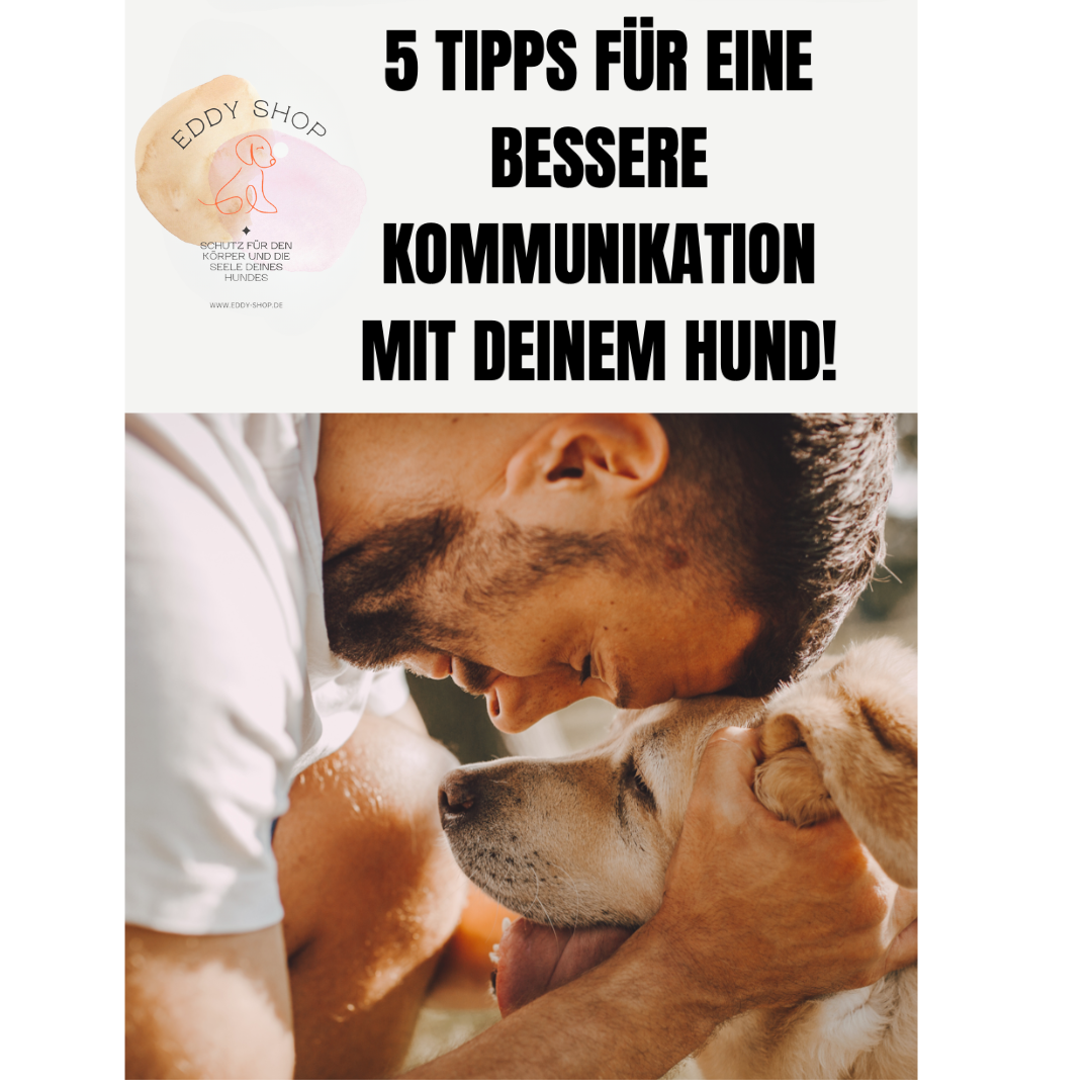 TIPPS FÜR EINE BESSERE KOMMUNIKATION MIT IHREM HUND 5 IDEEN