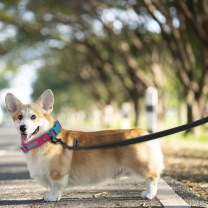 HUNDE LEINE SCHLEPPLEINE 5 / 10 / 15 METER