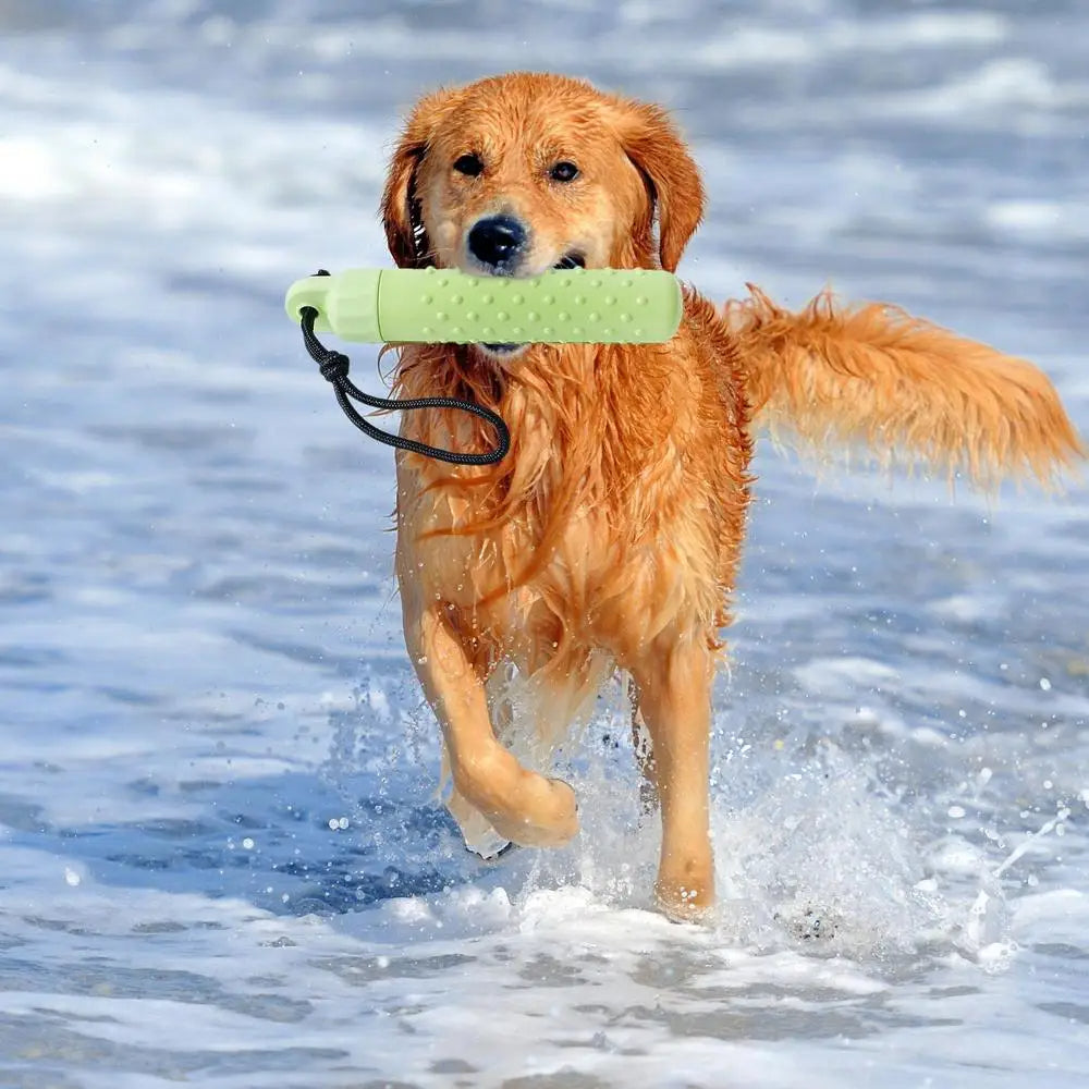 HUNDE DUMMY WASSERSPIELZEUG