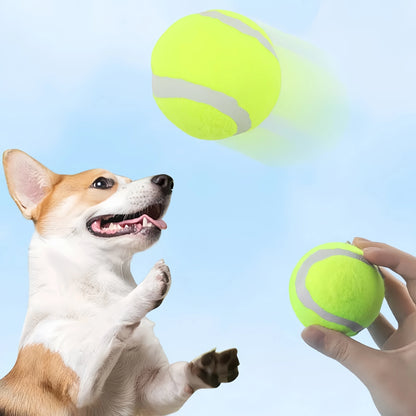 Hunde Premium Super Bounce Tennisbälle (ohne Balltrainer)