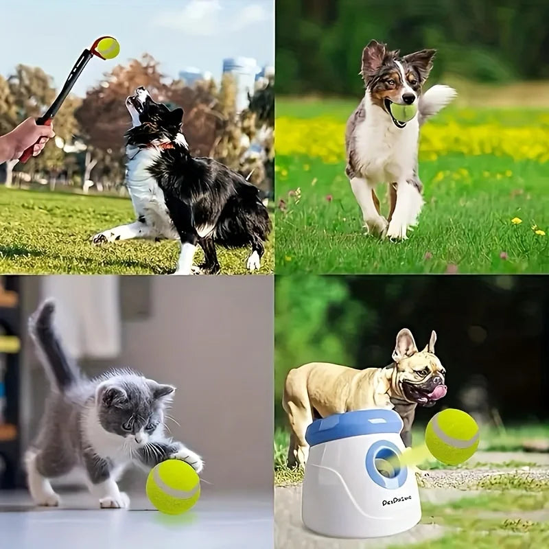 Hunde Premium Super Bounce Tennisbälle (ohne Balltrainer)