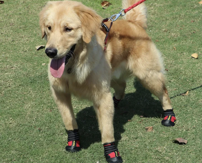 WASSERDICHTE ANTIRUTSCH HUNDESCHUHE MIT REFLEKTIERENDEM RIEMEN