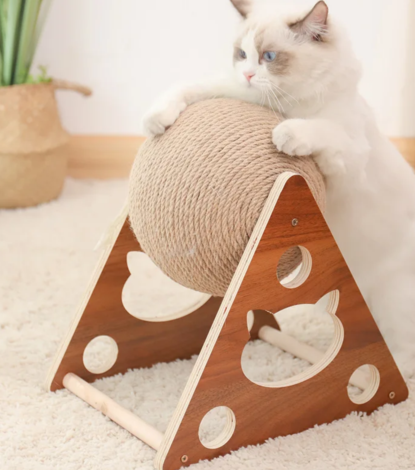 SISAL BALL FÜR IHRE GELIEBTE KATZE