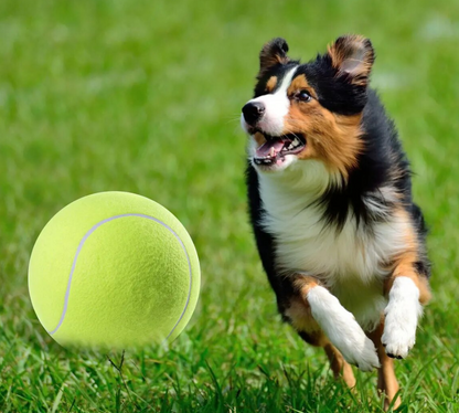 TENNISBALL FÜR HUNDE 24 CM GROSS