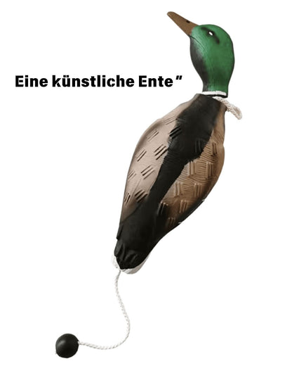 Erleben Sie unsere Hunde Dummy-Ente