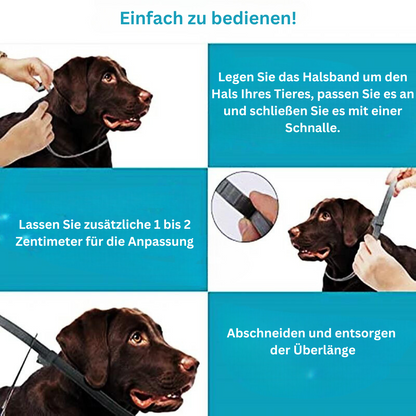 HUNDEHALSBAND GEGEN ZECKEN UND FLÖHE FÜR 8 MONATS SCHUTZ