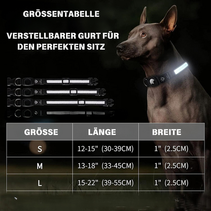 LEUCHTENDES HUNDESHALSBAND MIT AIRTAG HALTER