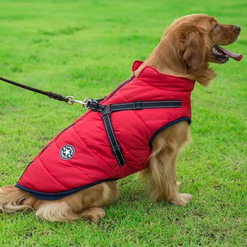 HUNDEMANTEL HUNDEJACKE MIT GESCHIRR