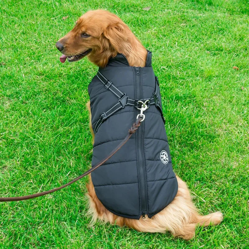 HUNDEMANTEL HUNDEJACKE MIT GESCHIRR