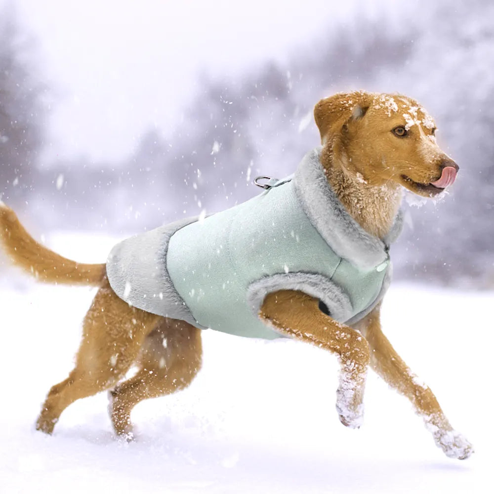 HUNDEJACKE ‎ ‎ ‎ ‎ ‎ ‎ ABSOLUT BEZAUBERND