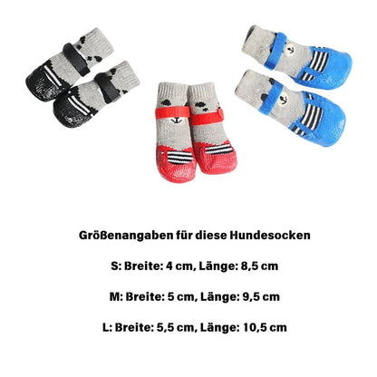 Winter Hundesocken auch für draußen