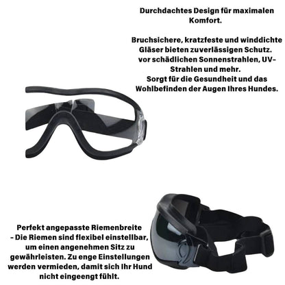 Hundebrille für Cabriofahren