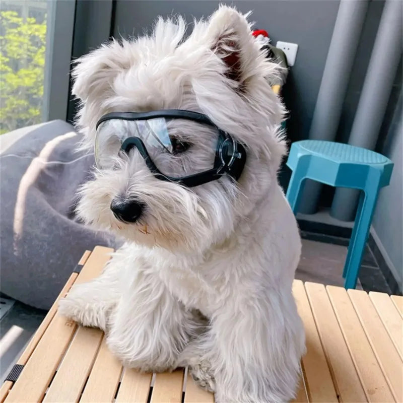 Eine wasserdichte Hundebrille