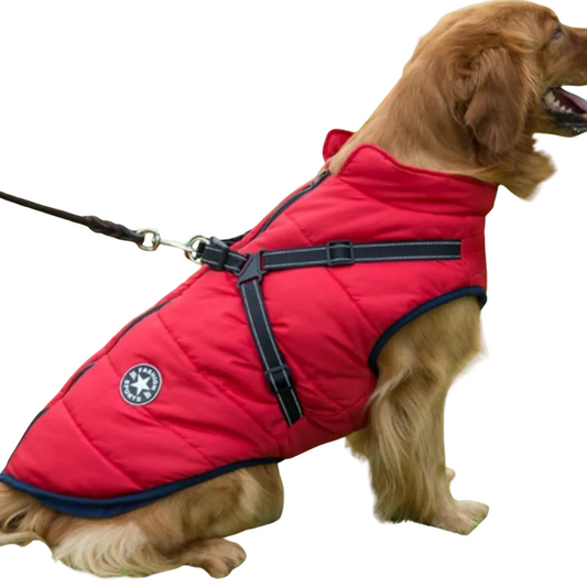 HUNDEMANTEL HUNDEJACKE MIT GESCHIRR