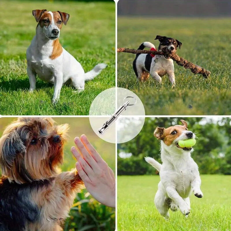 EDDY SHOP PREMIUM HUNDE TRAININGS PFEIFE