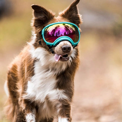 Hundebrille für Outdoor Vergnügen