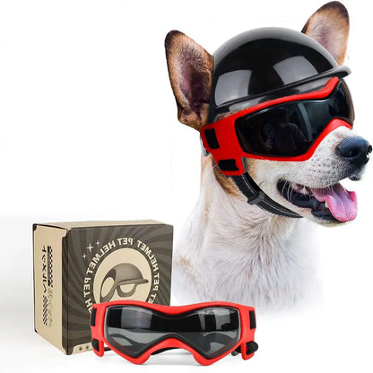 Hundebrille mit Helm