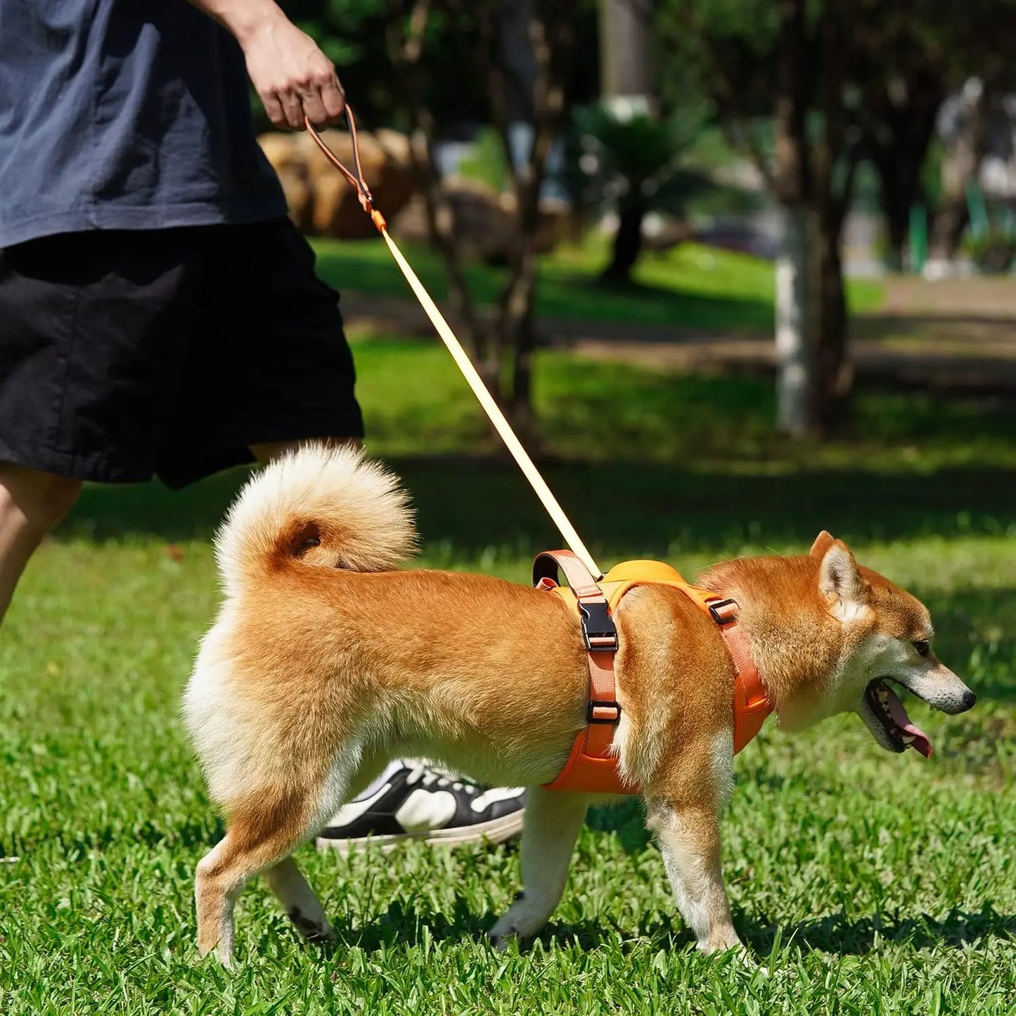 HUNDEGESCHIRR SAFE DEVICE SYSTEM