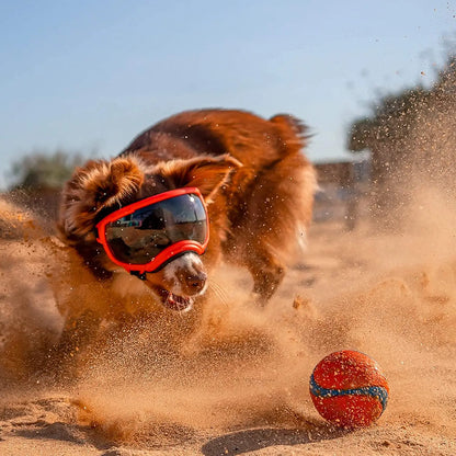 Hundebrille für Outdoor Vergnügen