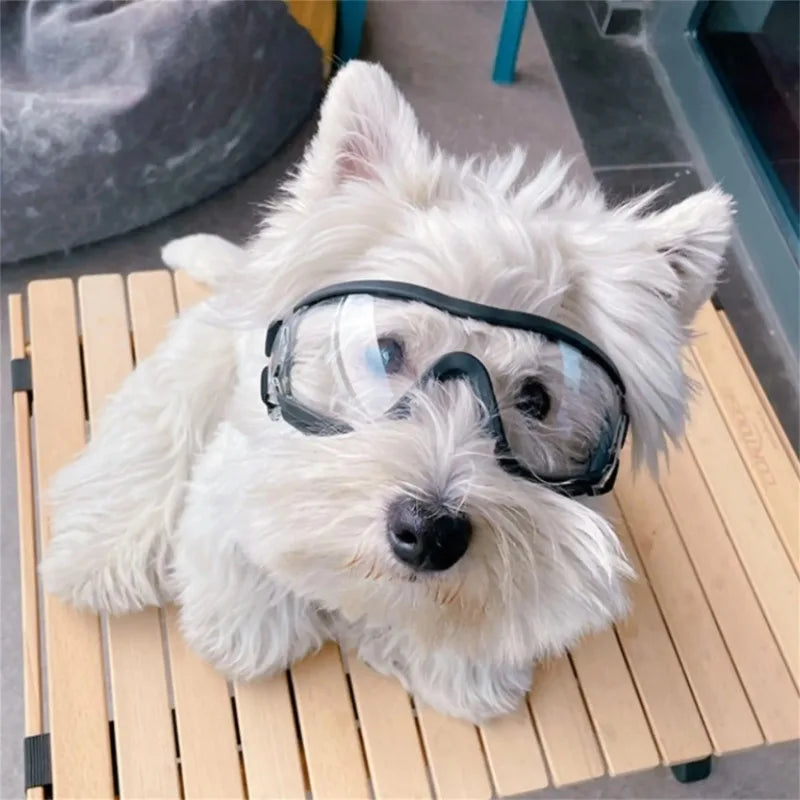 Hundebrille wasserabweisend