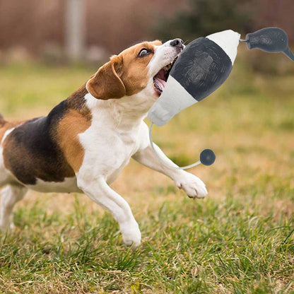 HUNDE ENTEN DUMMY APPORTIERRAINIG