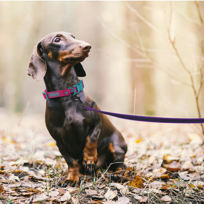 HUNDE LEINE SCHLEPPLEINE 5 / 10 / 15 METER