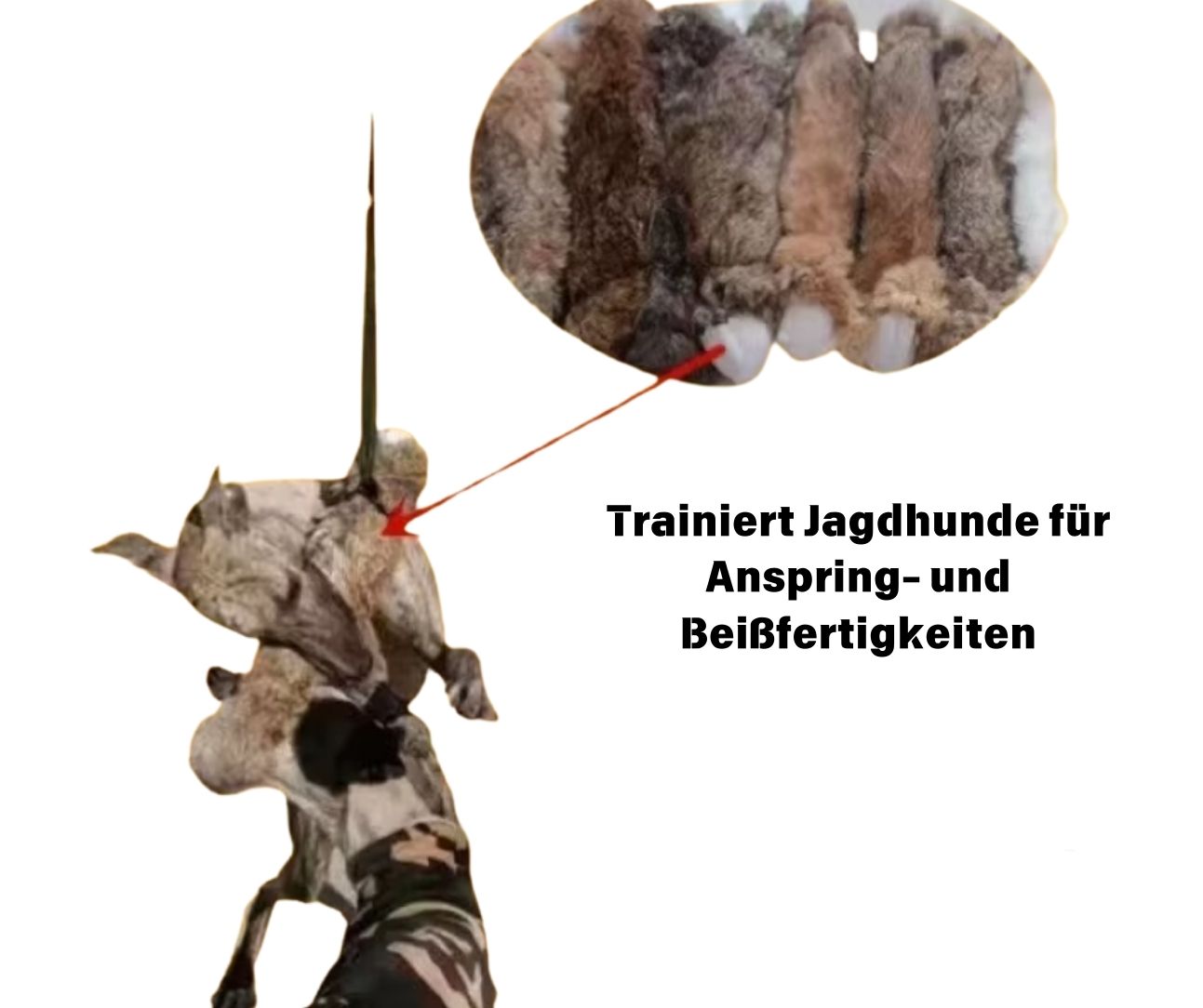 Hunde Jagd und Trainingsspielzeug