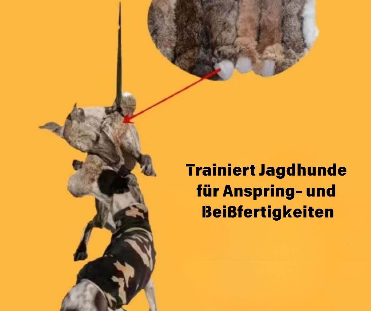 Hunde Jagd und Trainingsspielzeug