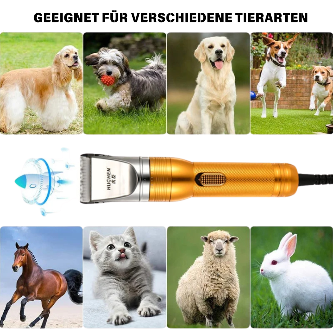 HUNDEHAARSCHNEIDEMASCHINE (PROFI) MIT KABEL 380 WATT