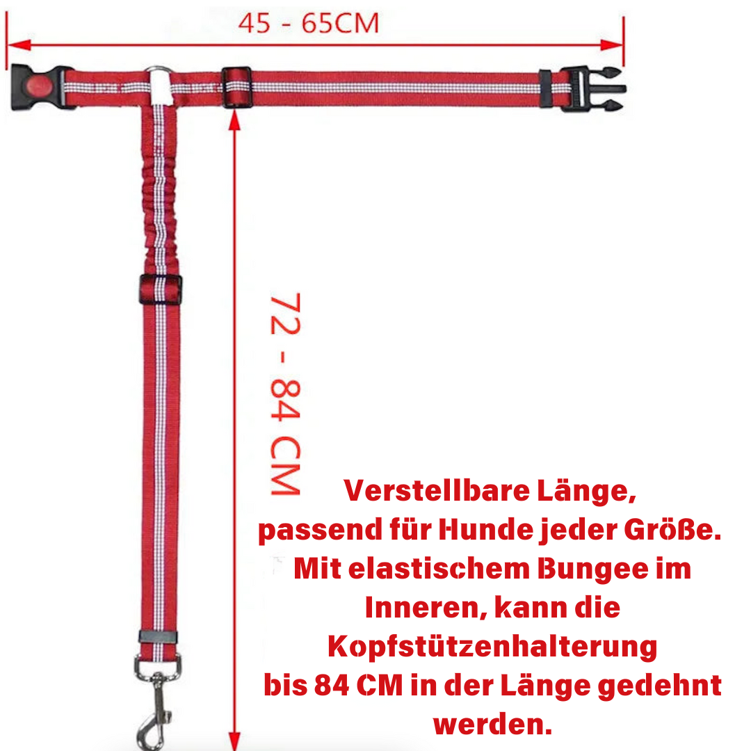 2 in 1 GURT MIT UNIVERSALSCHNALLE UND EINSTELLBAREM REFLEKTIERENDEM GUMMIBAND