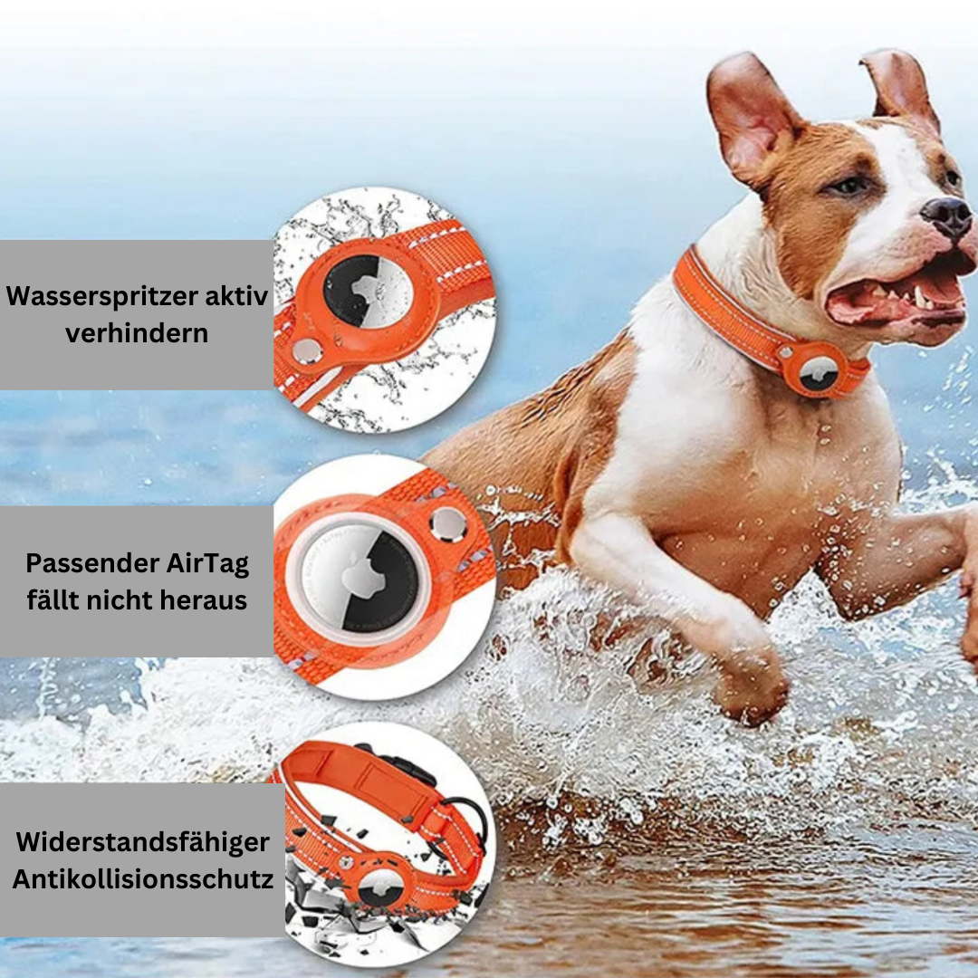 HUNDEHALSBAND MIT AIRTAG HÜLLE