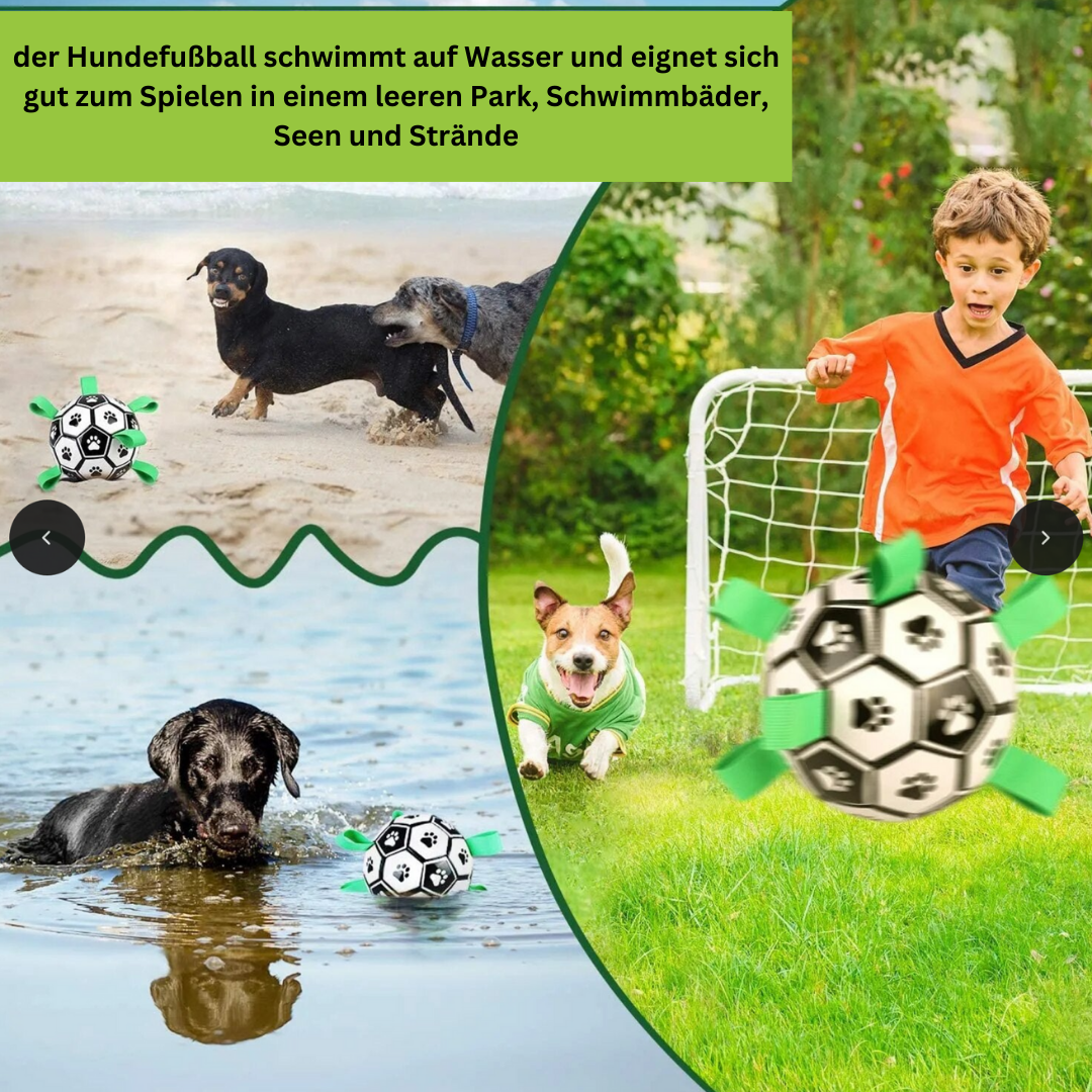 FUSSBALL FÜR DEN HUND UND DIE KINDER