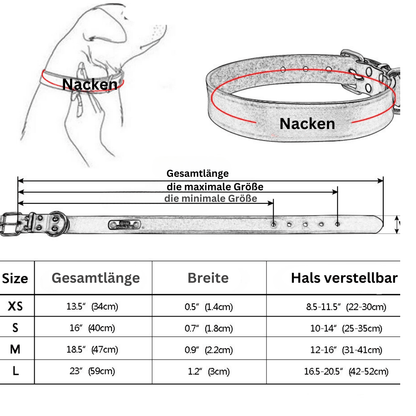 EINZIGARTIGKEIT UND INDIVIDUALITÄT HUNDEHALSBAND mit kostenloser Gravur! - eddy shop