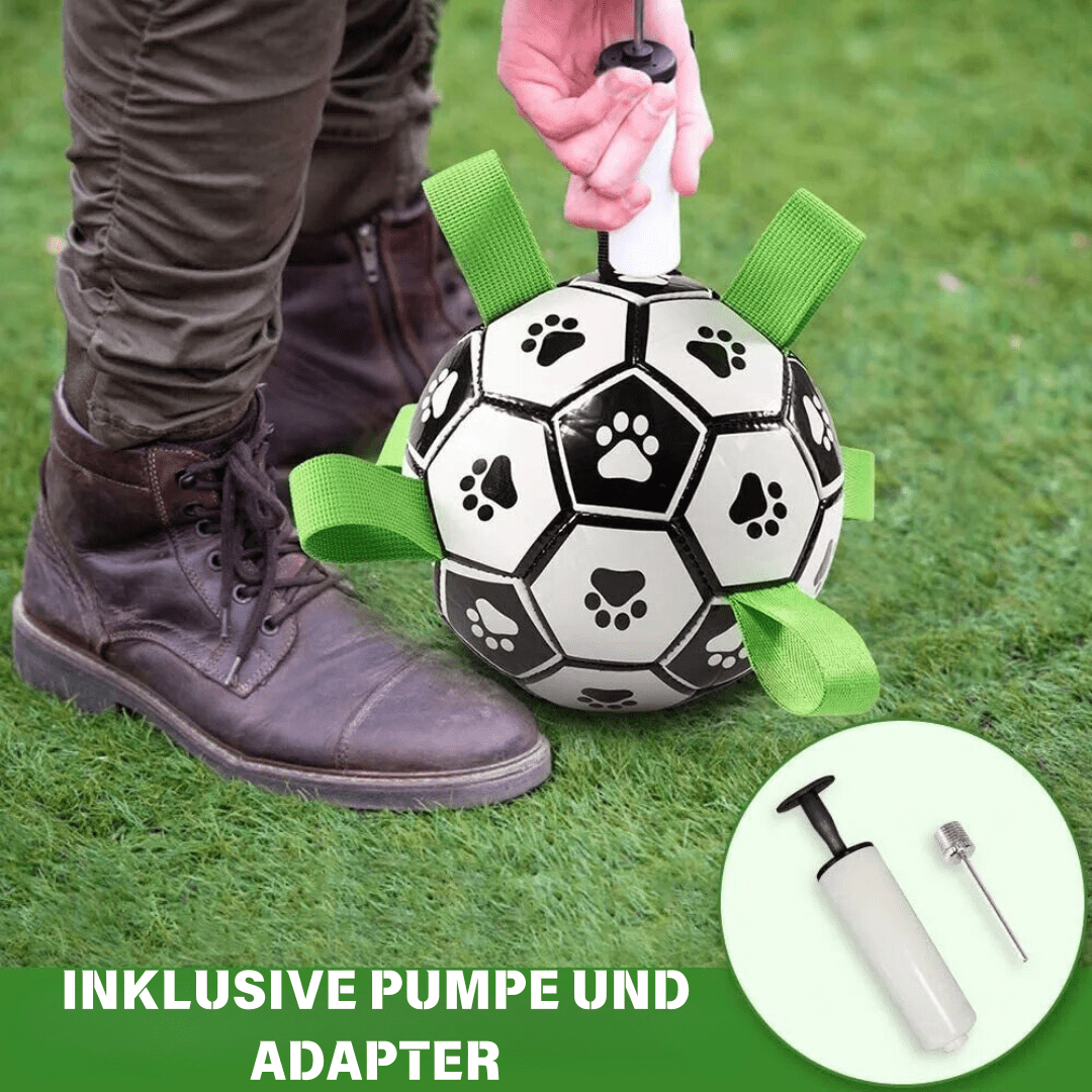 FUSSBALL FÜR DEN HUND UND DIE KINDER - eddy shop