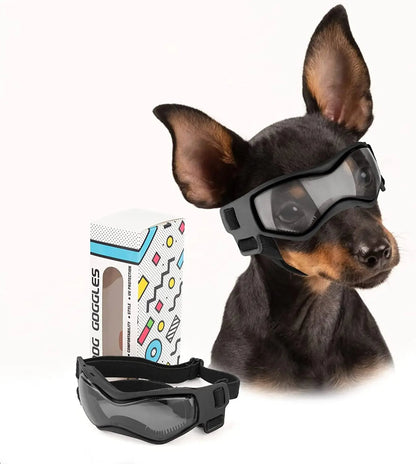 HUNDE BRILLE - eddy shop