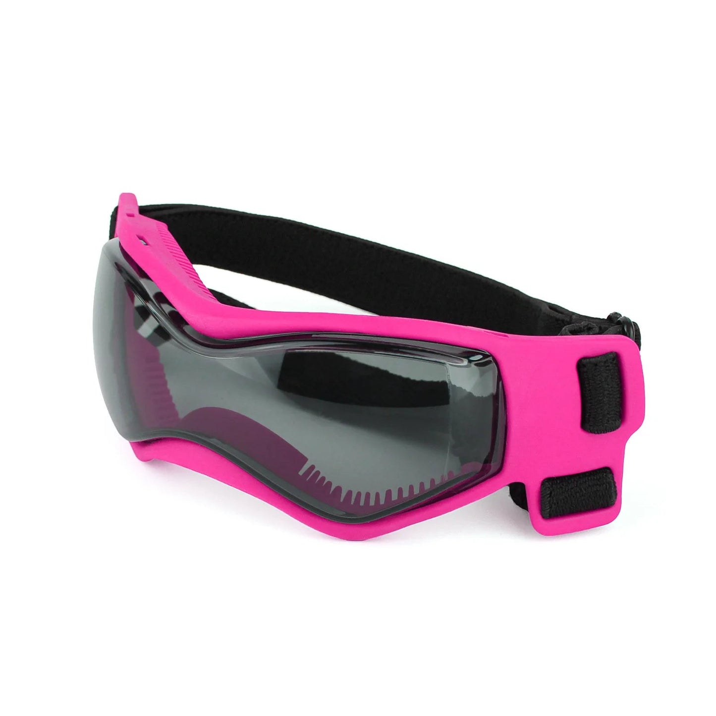 HUNDE BRILLE - eddy shop