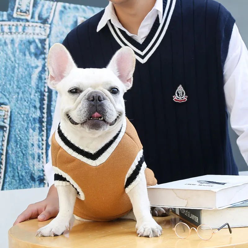 Hunde College Pullover