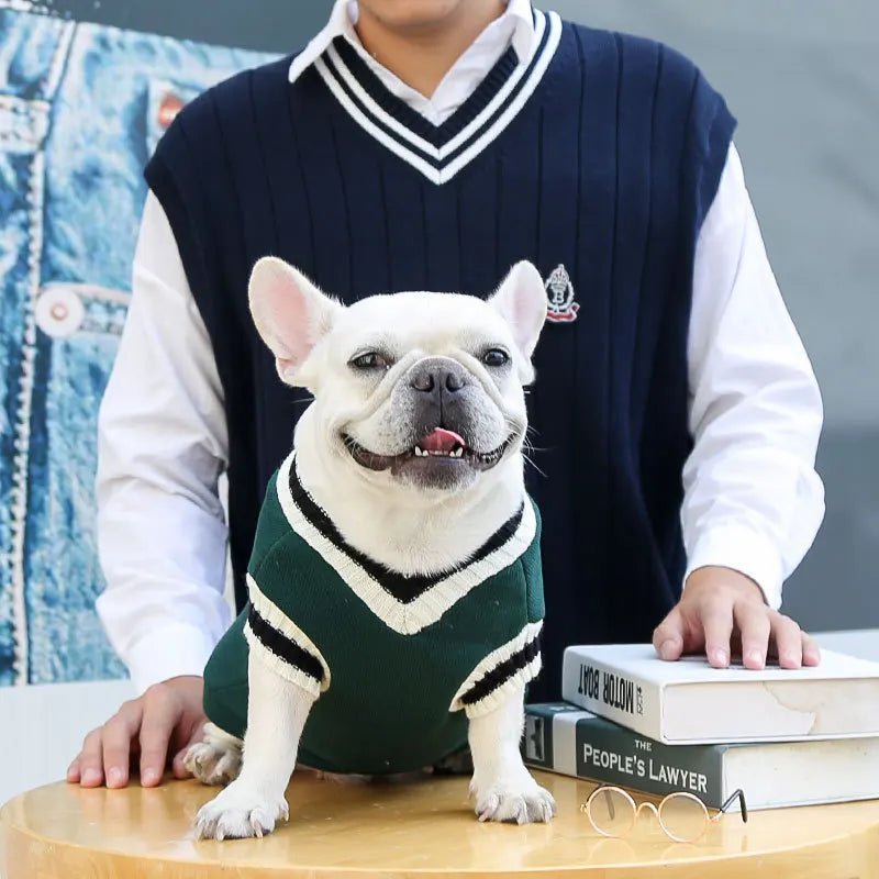 Hunde College Pullover