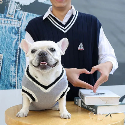 Hunde College Pullover