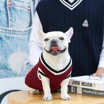 Hunde College Pullover