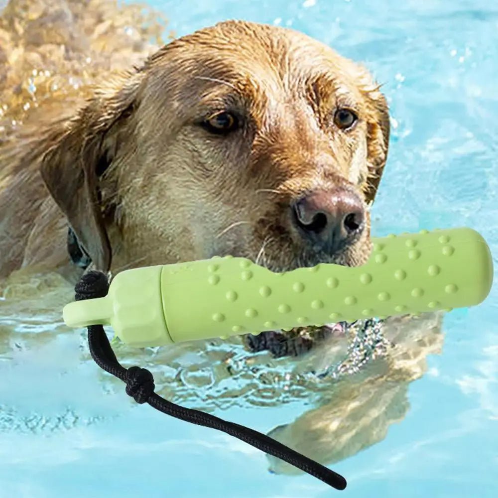 HUNDE DUMMY WASSERSPIELZEUG - eddy shop