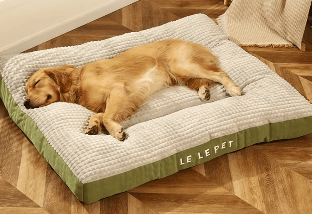 Hundebett warm - eddy shop