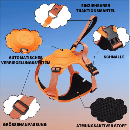 HUNDEGESCHIRR SAFE DEVICE SYSTEM - eddy shop