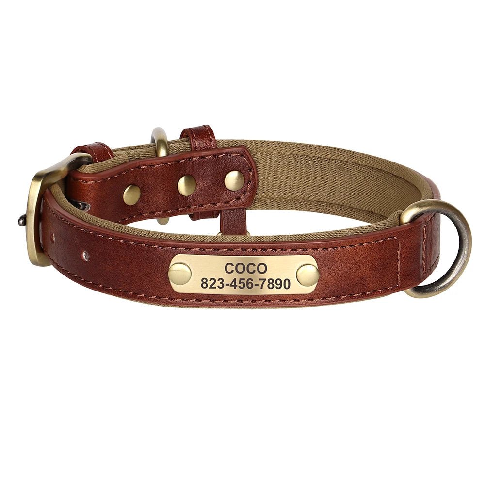 HUNDEHALSBAND AUF WUNSCH MIT KOSTENLOSER GRAVUR! - eddy shop